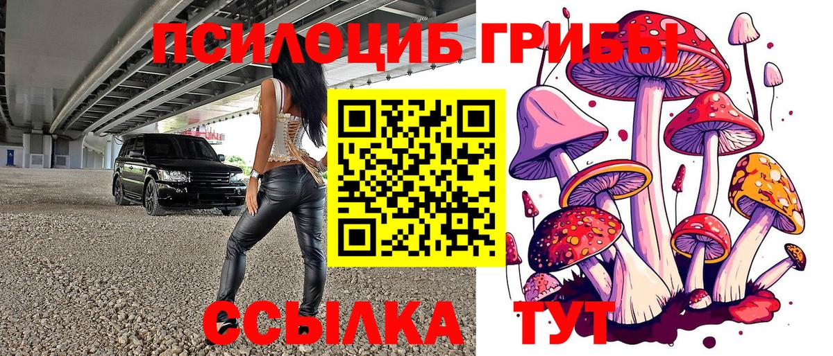 Губкинский  Галлюциногенные грибы Psilocybine cubensis  Вход с VPN  даркнет сайт  Галлюциногенные грибы прущие грибы 