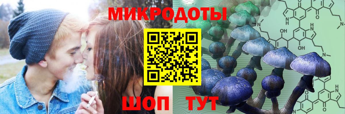 Псилоцибиновые грибы Psilocybine cubensis Губкинский